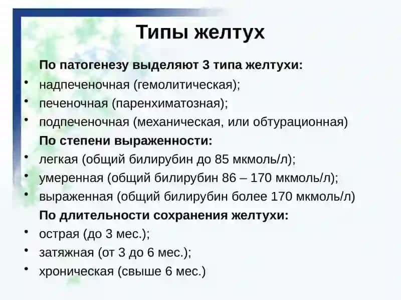 Желтуха (icterus) 4