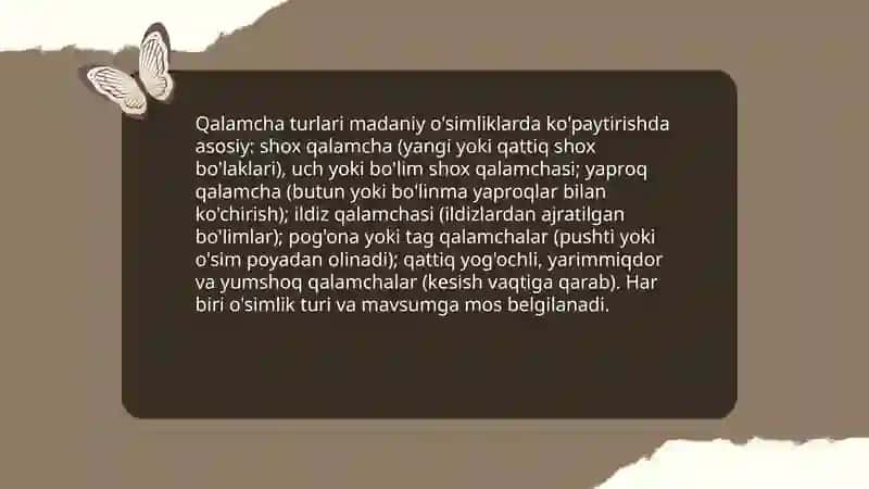 Madaniy ósimliklarning qalamchalar va yovvoyi ósimliklarning ildizbachkisi va ildizpoyalari orqali kópayishi 4