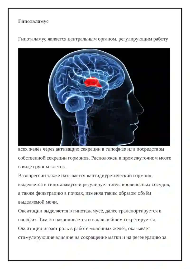ЭНДОКРИННЫЕ СИСТЕМЫ 4