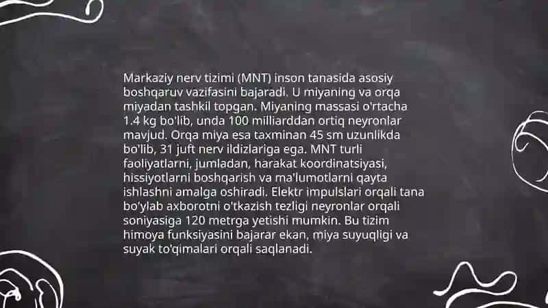 Nerv sistemasining tuzilishi 4