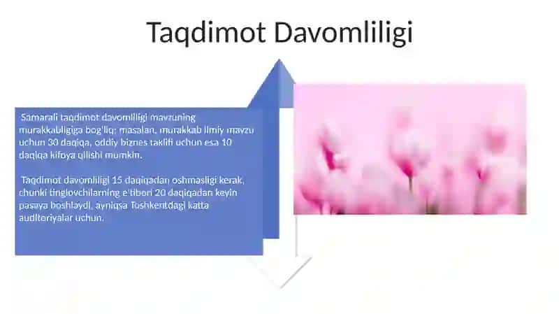 Samarali Slayd Dizayni 4