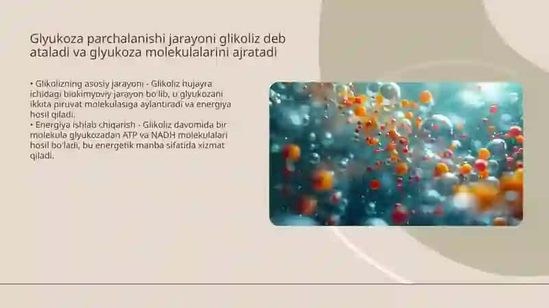 Karbonsuvlar almashinuvi va glyukozaning organizmda sarflanishi 4