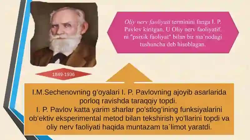 Oliy nerv faoliyati tiplari 4