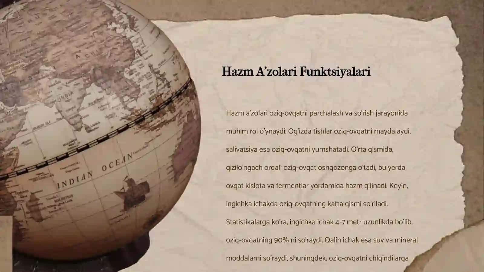 HAZM KANALI VA HAZM A'ZOLARINI TUZIKISHI 4