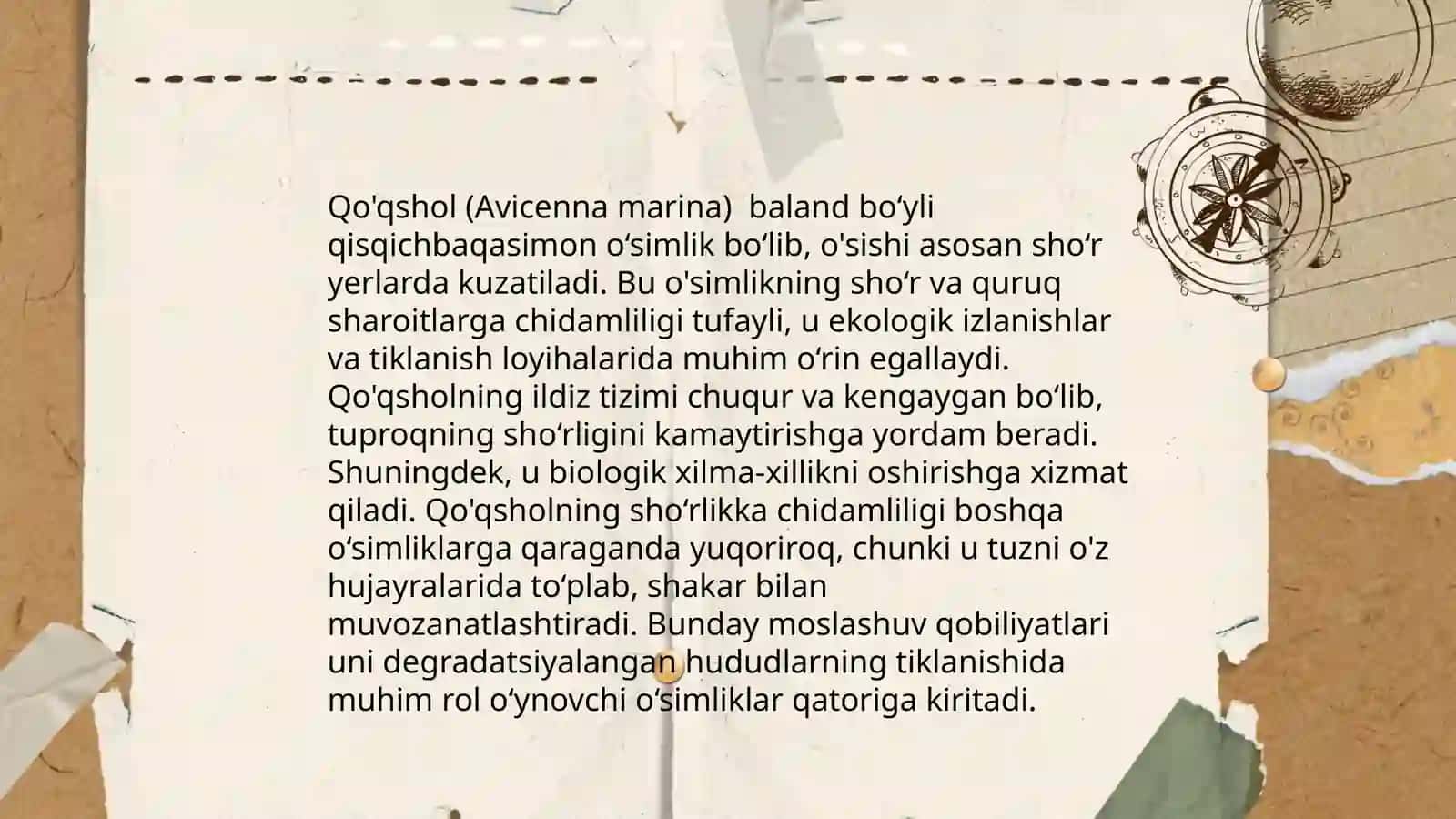 Qoqshol 4