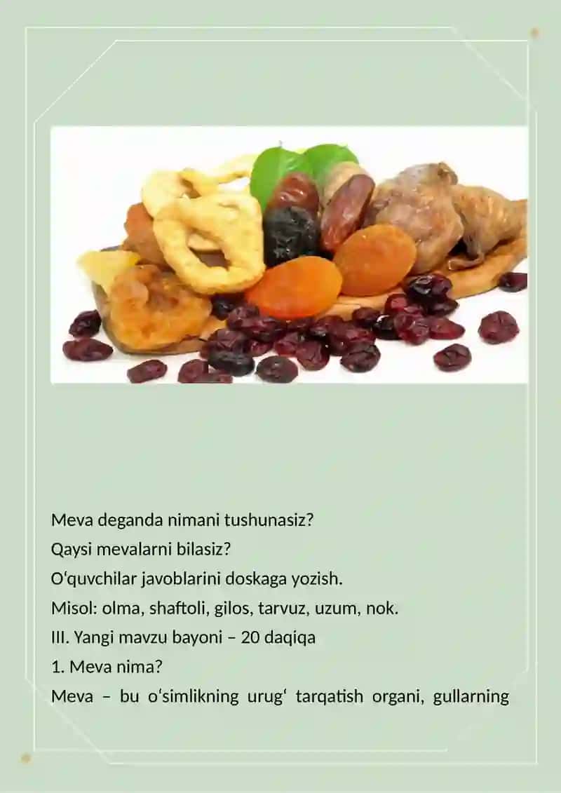 Meva. Dars ishlanma 4
