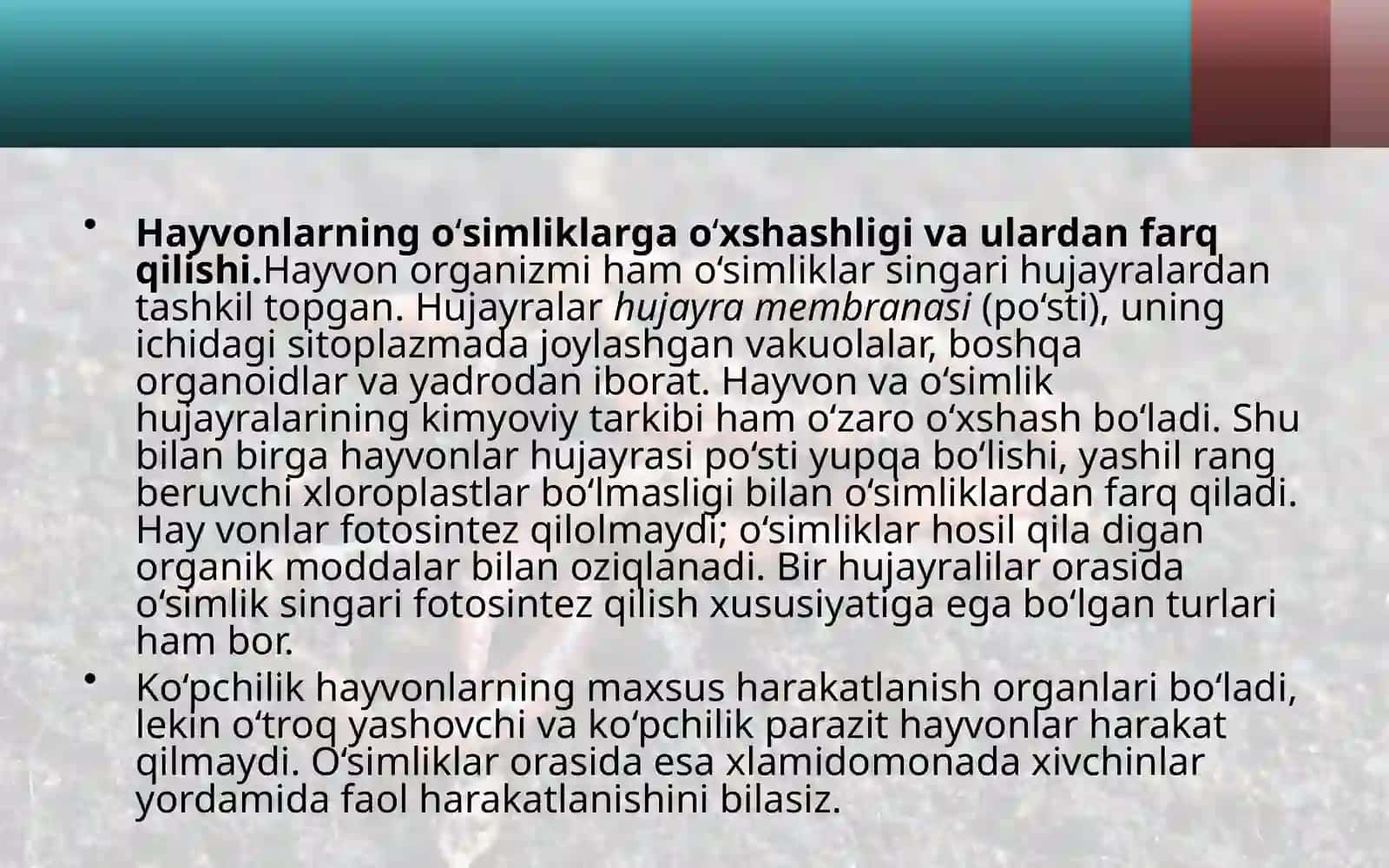 7-sinf Zoologiya 'Hayvon organizmining tuzilishi, hayvonlarni klassifikatsiya qilish' ko'rgazma 4