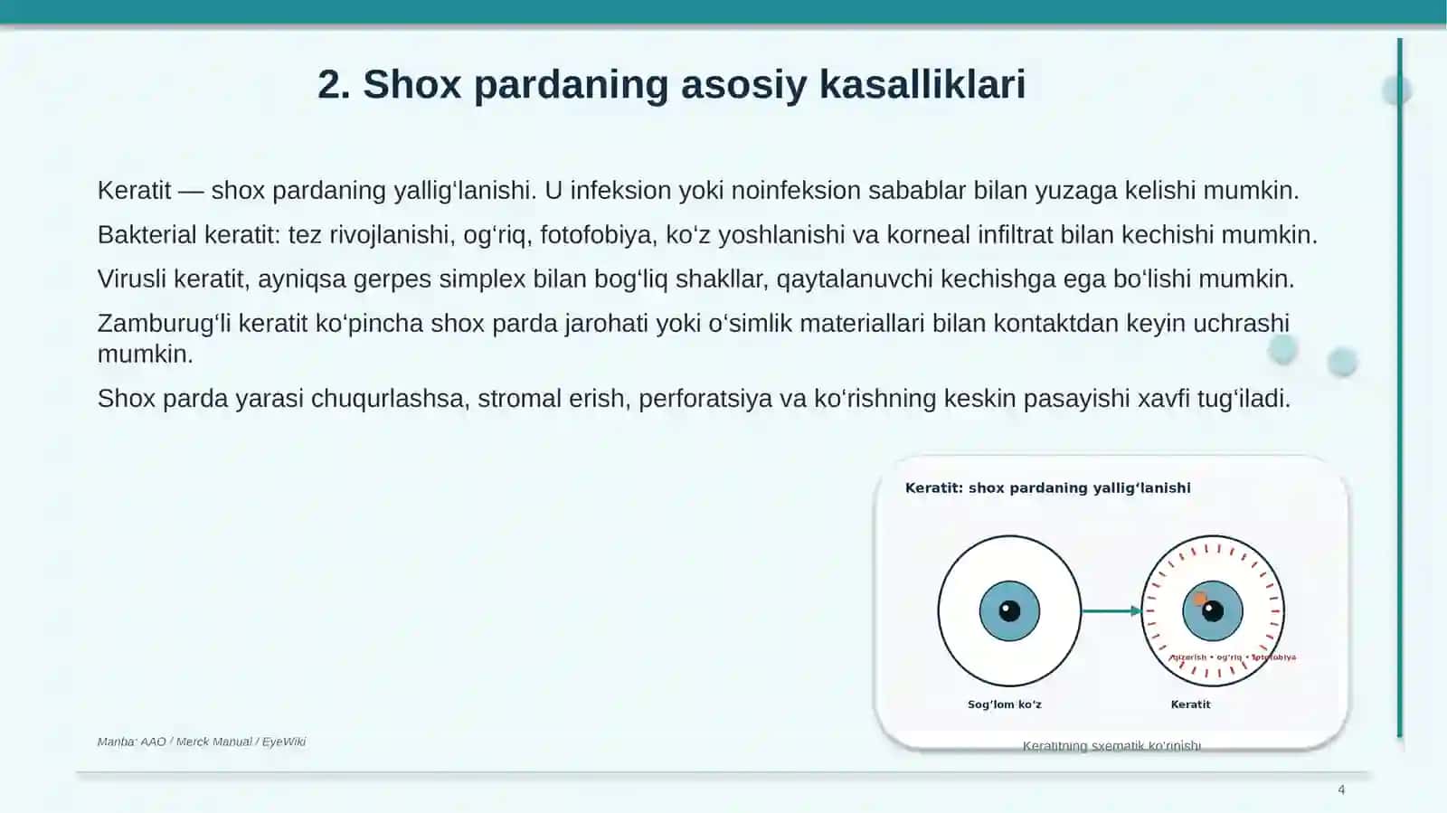 Ko‘z anatomiyasi 4