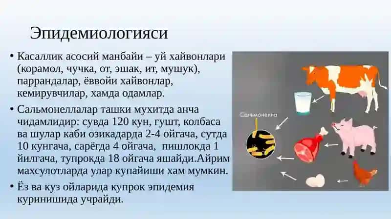 Сальмонеллёз 4