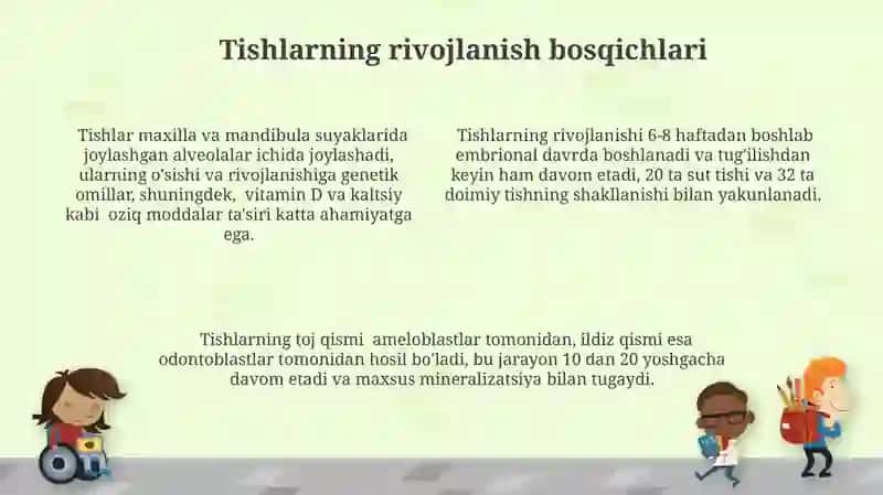 Tishlar ontogenezi. Rivojlanish nuqsonlari va rentgenanatomiyasi 4