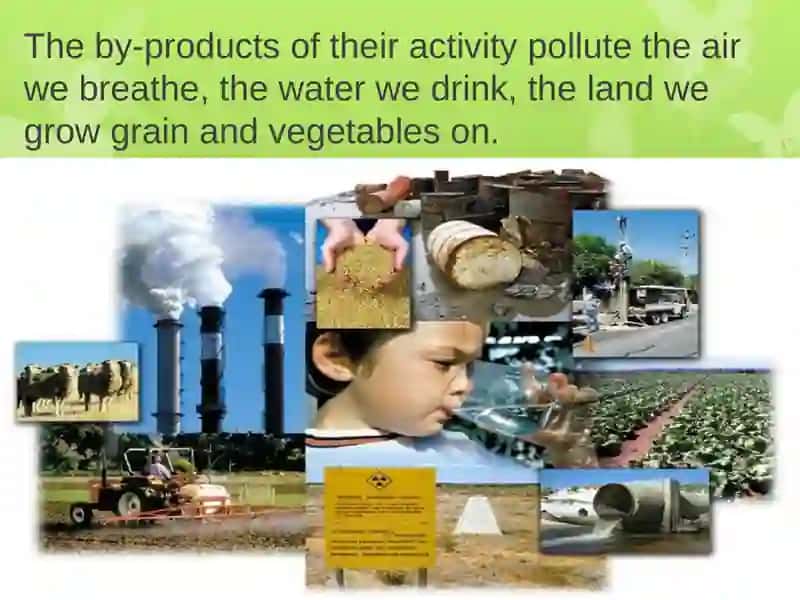 "Ecological problems" 4
