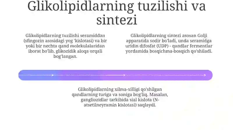 Nerv to’qimasining asosiy glikolipitlari 4