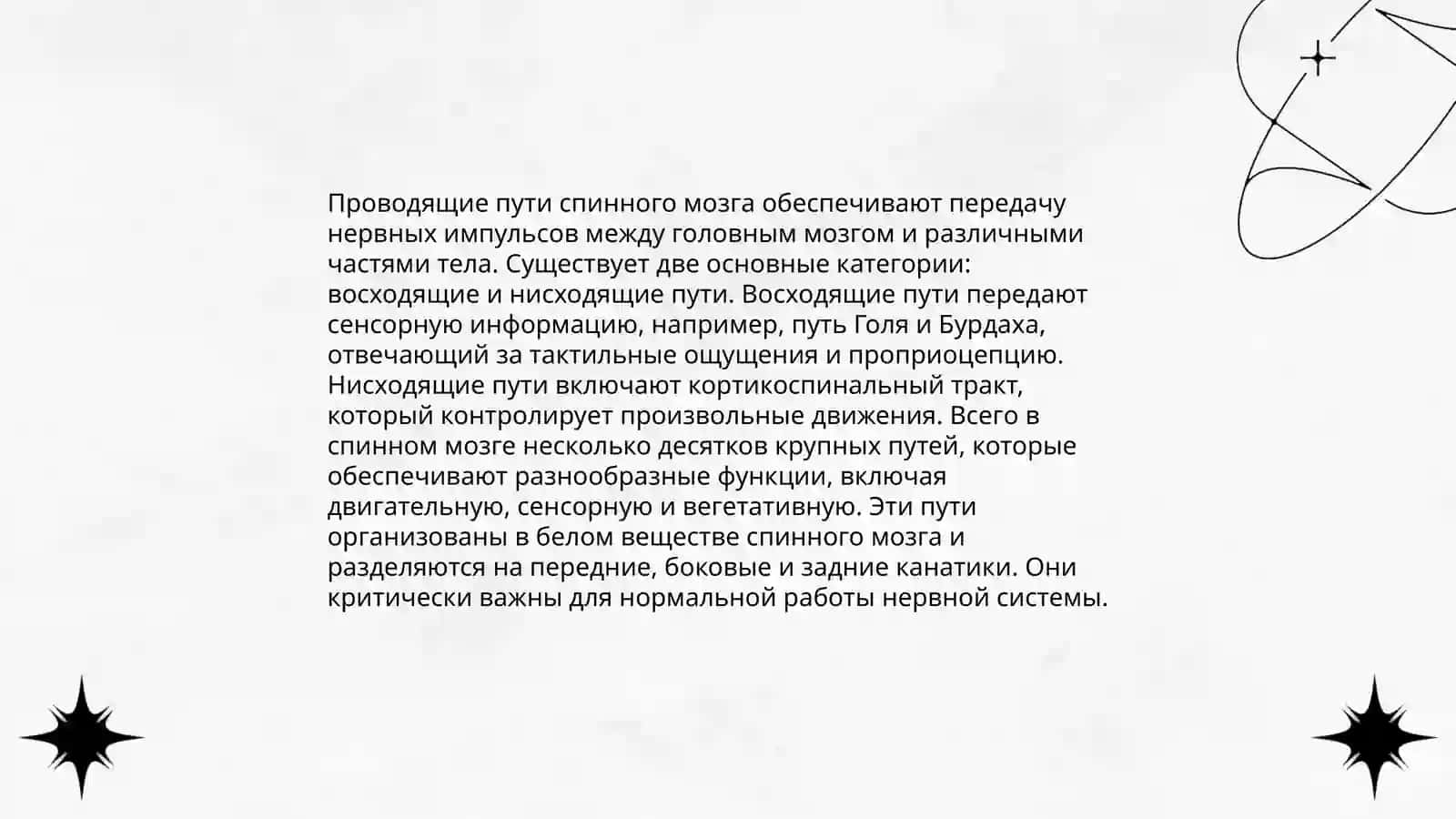 Рефлекторная и проводящая функции спинного мозга и методы исследования 4