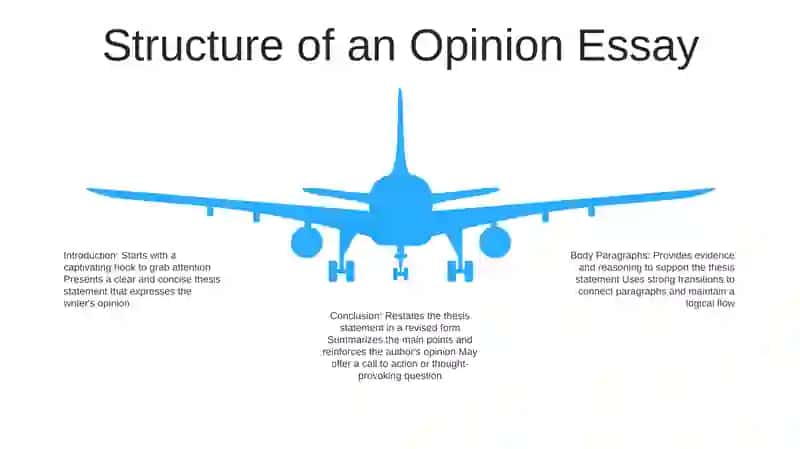 Opinion Essay 4