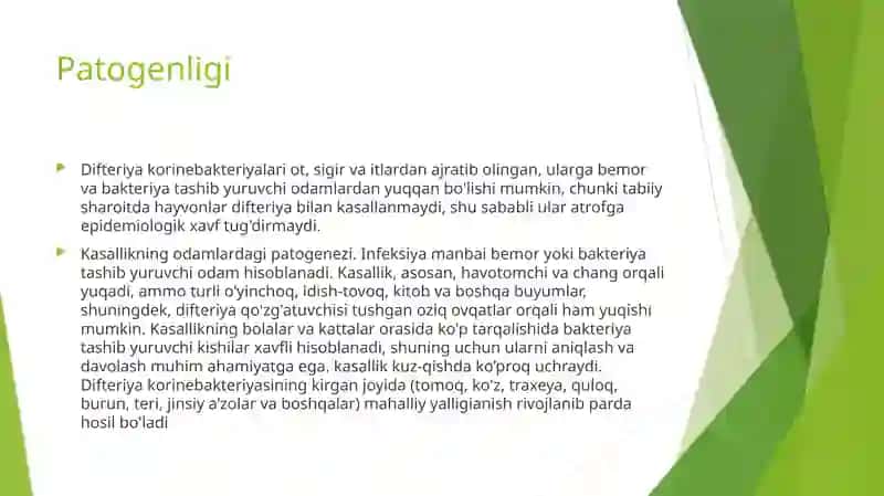 Korenobakteriyalar 4