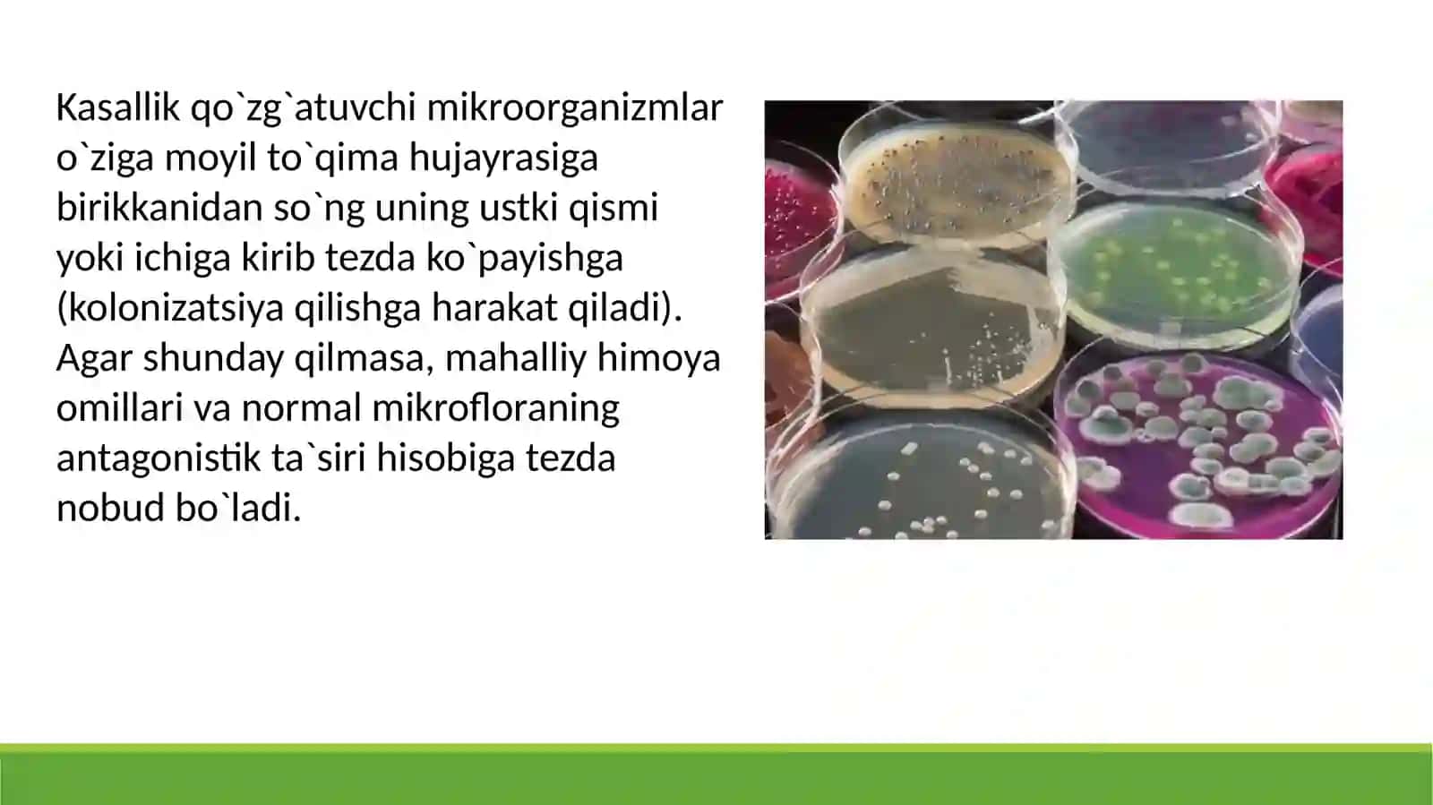 Patogenlik va virulentlik omillar 4