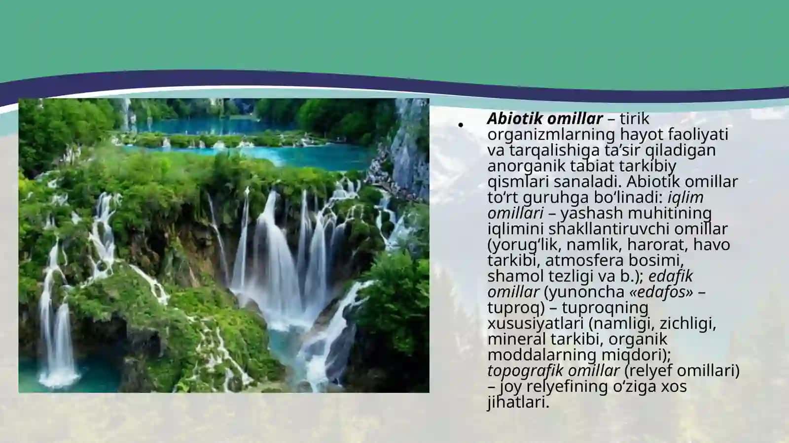 Muhit omillari va ularning tasnifi 4
