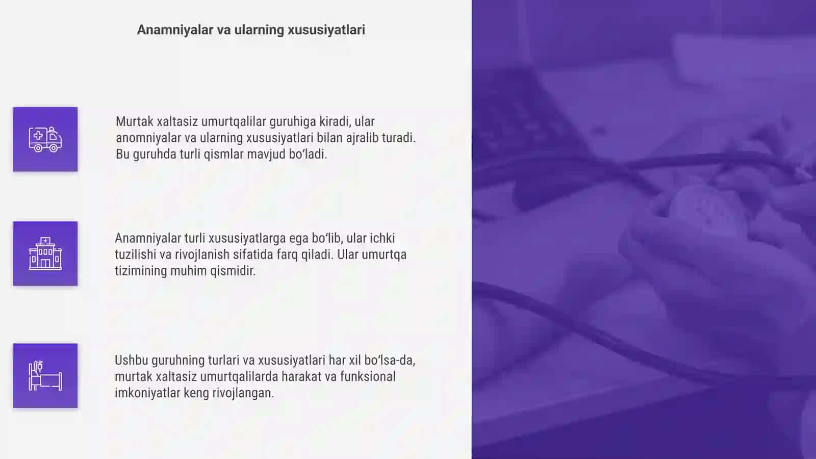 Murtak xaltasiz umurtqalar 4
