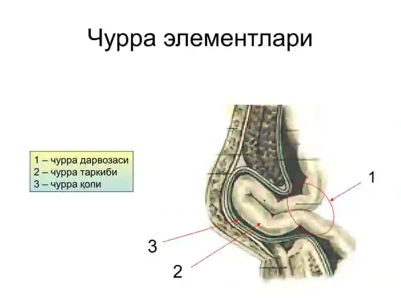 Чурра элементлари 4