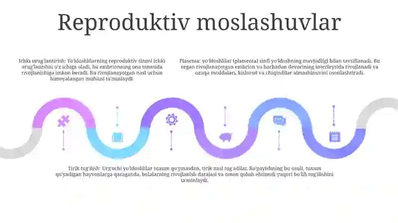 YoʻLdoshlilar (Placentalia) Sinfchasi 4