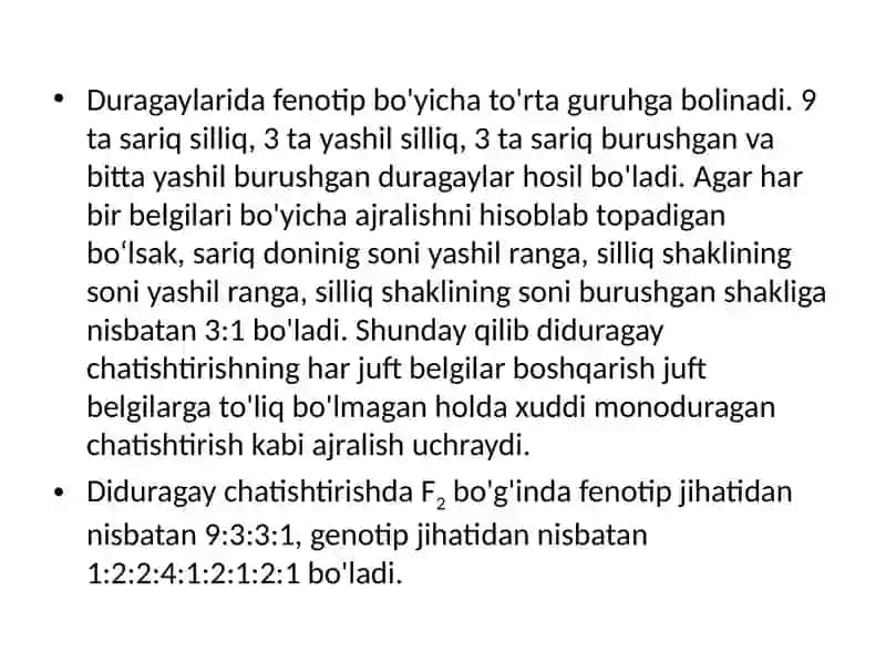 Diva poliduragay chatishtirish 4