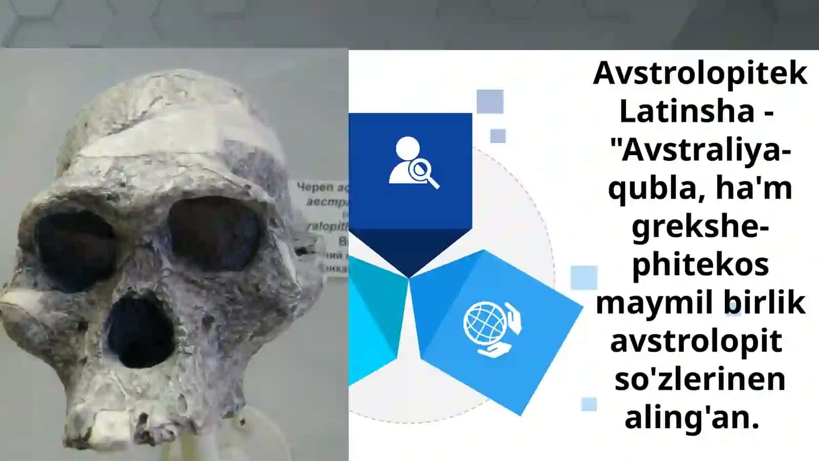 Q.M.UTARIYX FAKULTETI ARXEOLOGIYA QANIGELIGI 1-KURS STUDENTI JAN'ABAEV ABUBAKIRDIŃ INSAN EVOLYUCIYASI HAM ALDINĞI TARIYX PàNINEN ISLEGEN SLAYD JUMISI 4