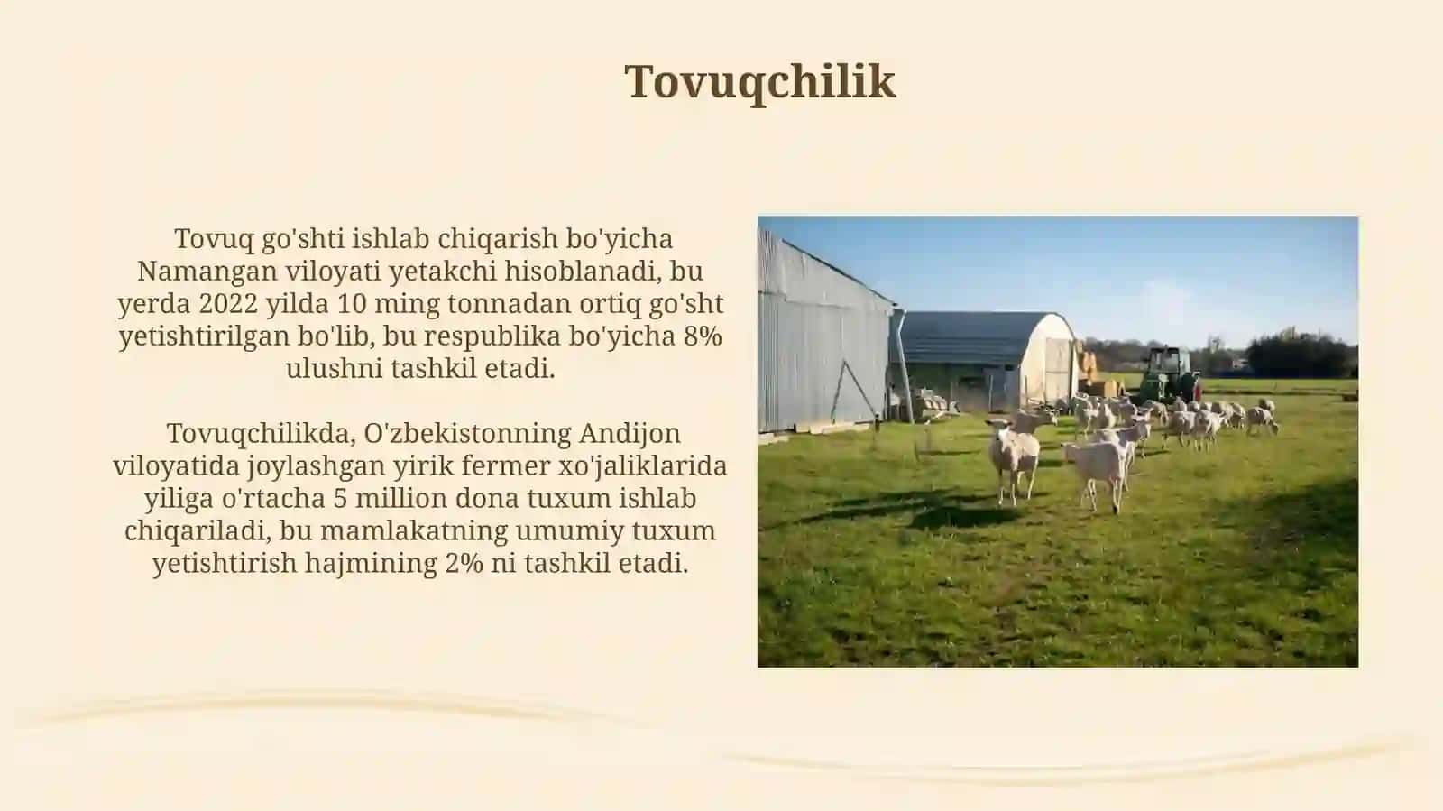Chorvachiliktarmoqlari 4