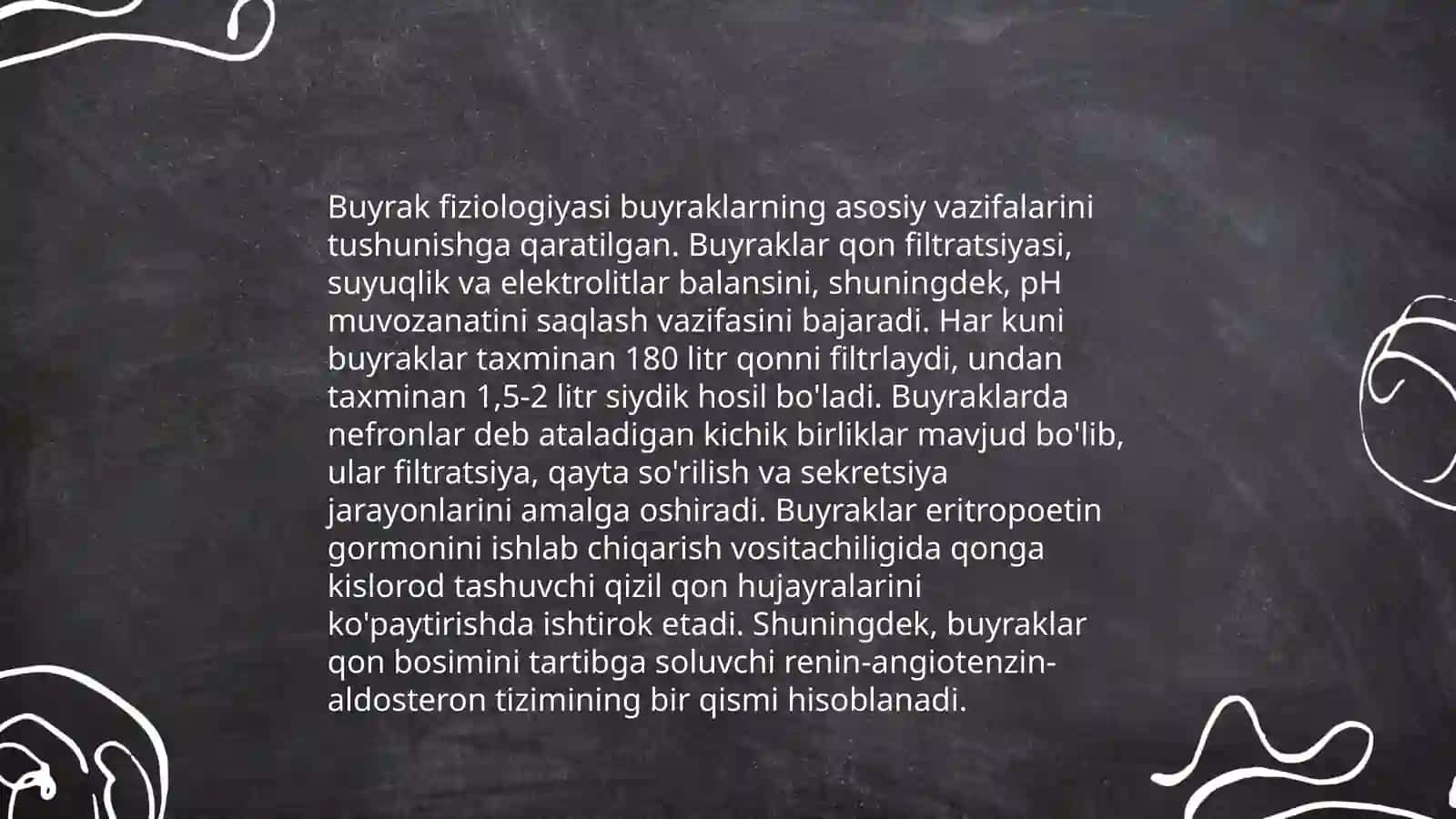 Buyrak 4