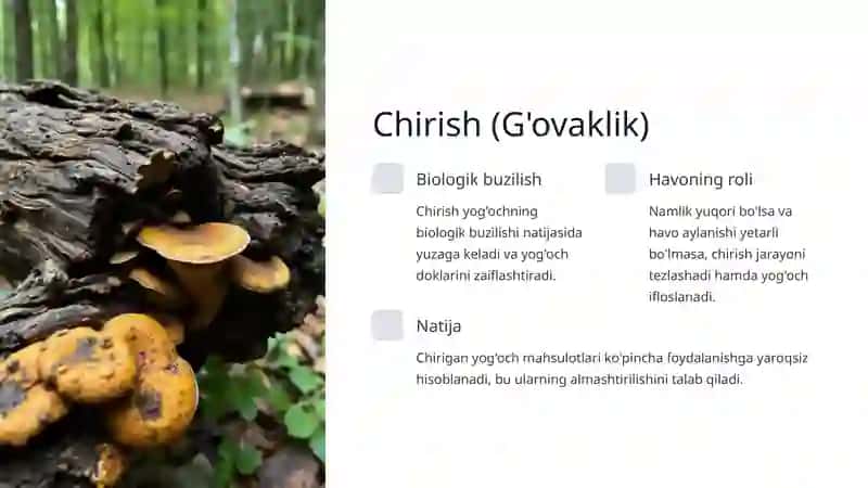 Yog'och materiallari va buyumlarining kamchiliklari 4