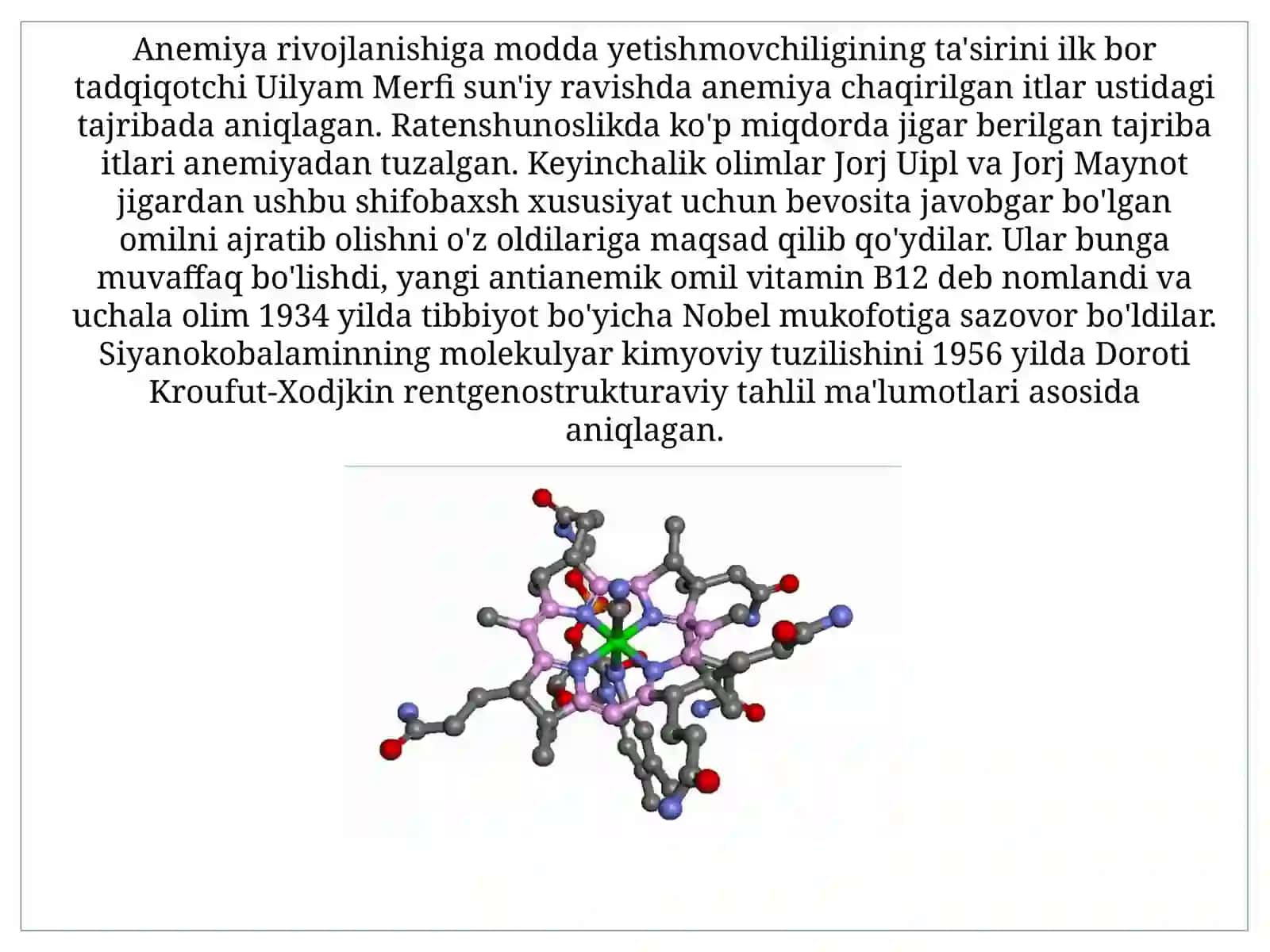 Biologiya - Vitamin B12 4