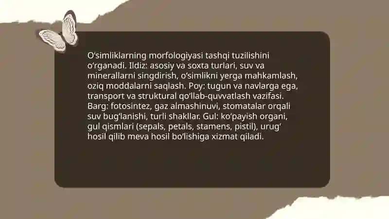 Oʻsimliklar dunyosi Abdumalikovna 4
