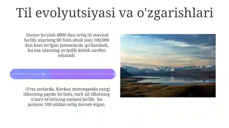 Tillarning taqdiri va kelajagi 4