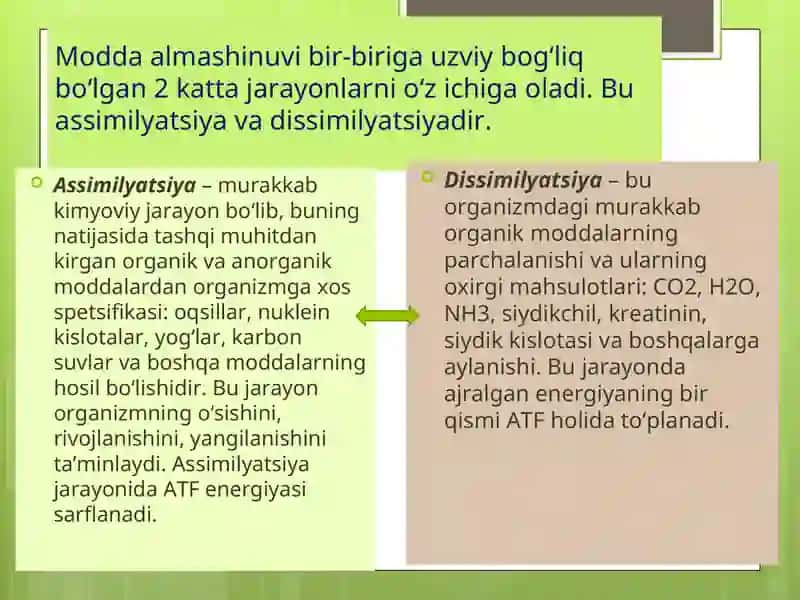 Energiya metobolizmi 4