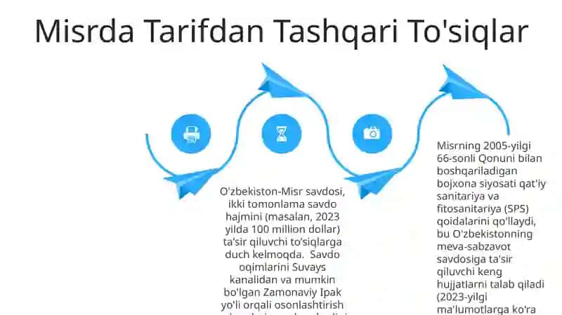 Misr - bojxona siyosati va O‘zbekiston bilan tashqi iqtisodiy aloqalari 4
