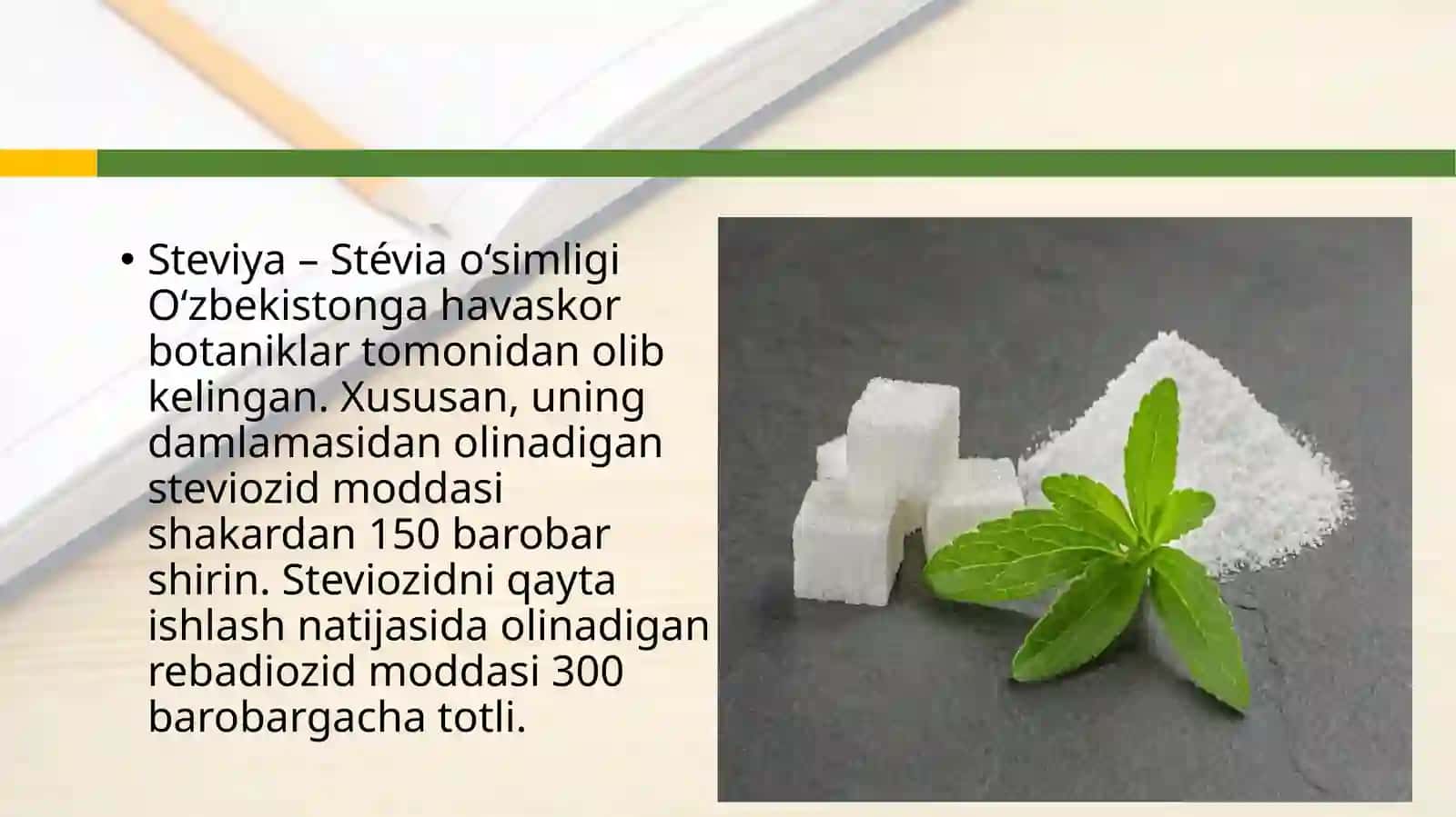 Steviya oʻsimligining yetishtirish texnologiyasi va shifobaxshlik xususiyatlari 4