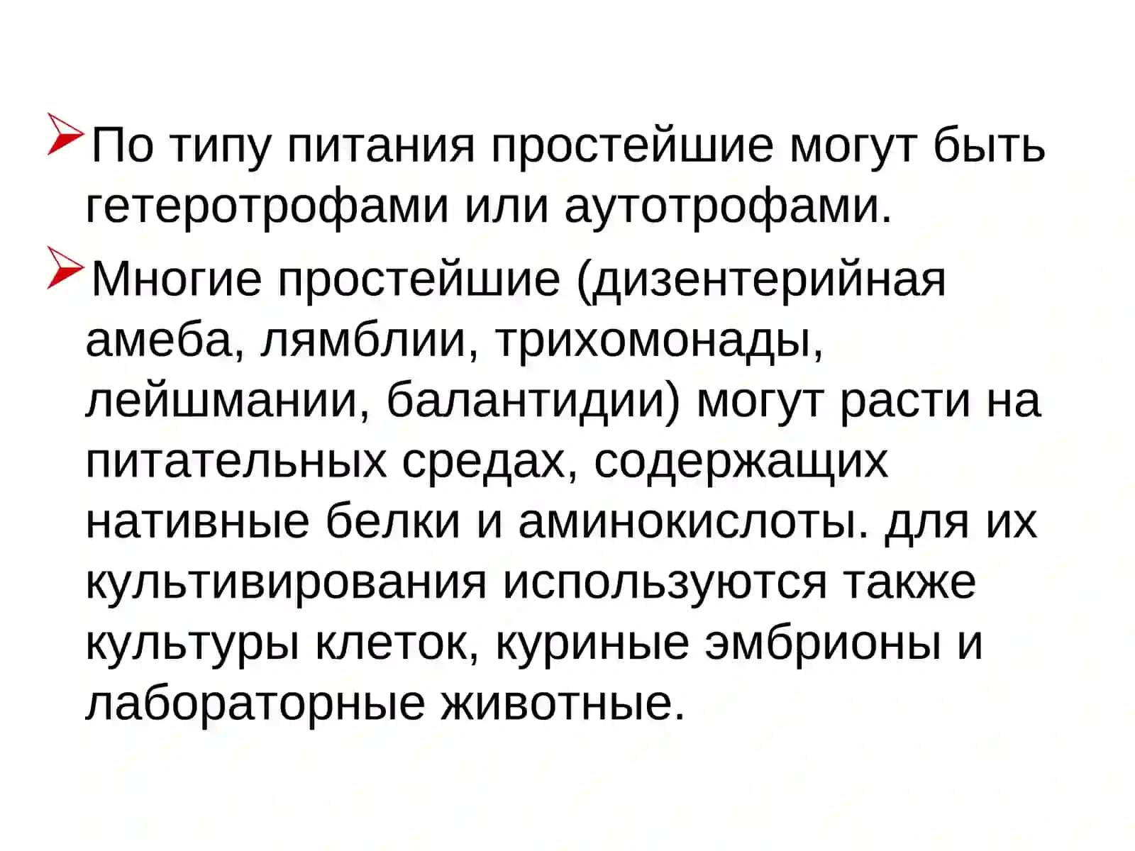 Простейшие 4