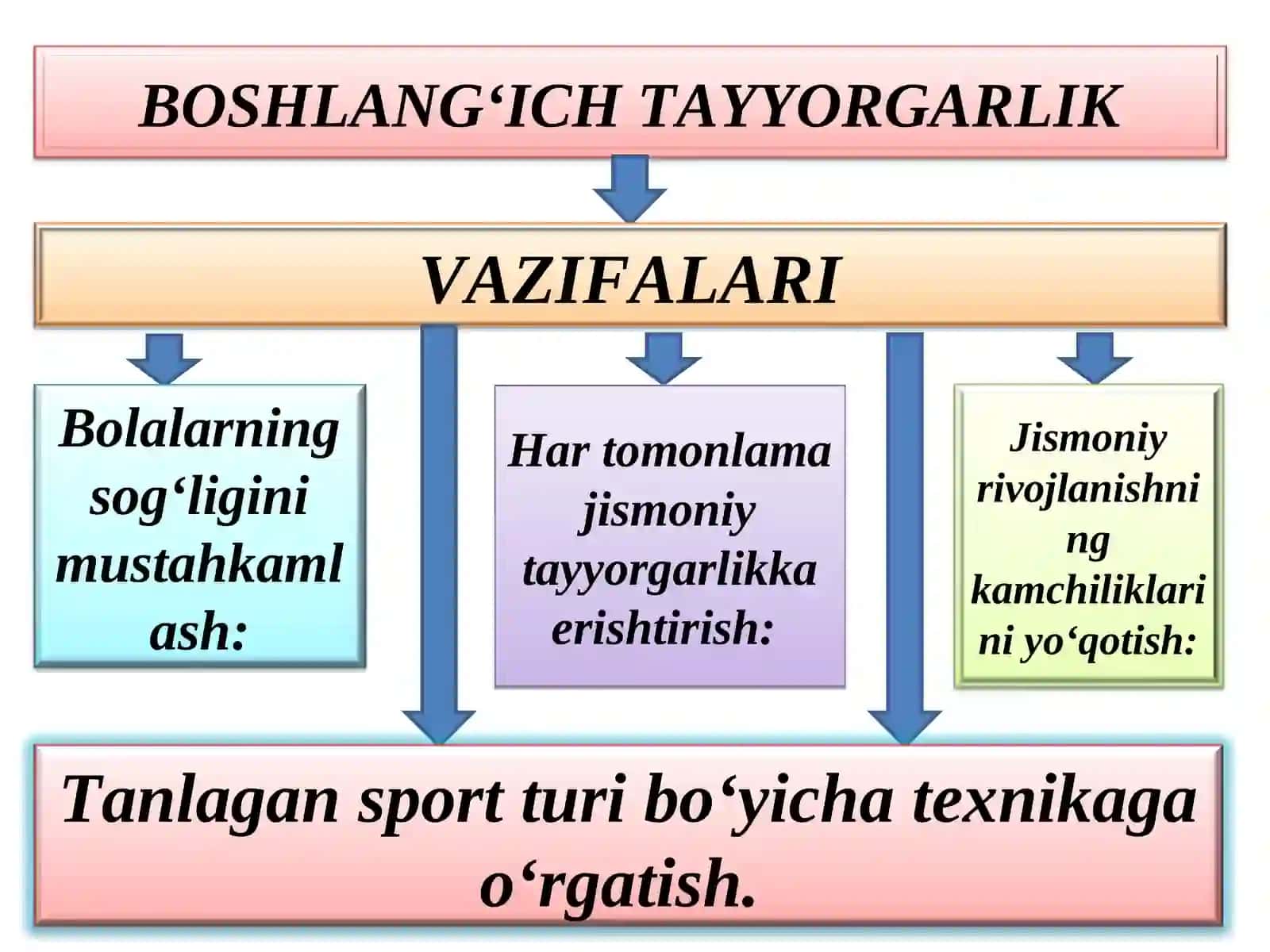 Sportchilarni yillik va ko‘p yilliktayyorlash jarayonida uzoq vaqtli moslashuvning tashkil topishi 4