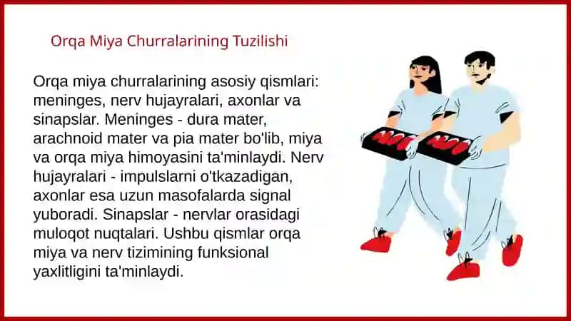 Orqa miya churralarining anatomik tuzilishi va funktsiyalari 4