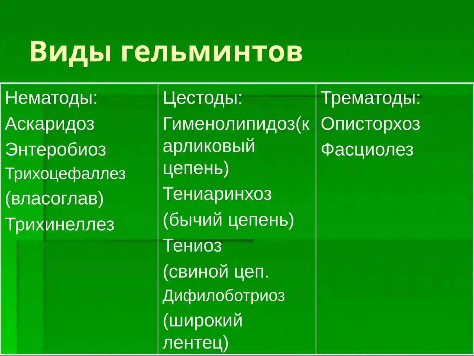 Гельминтозы у детей 4