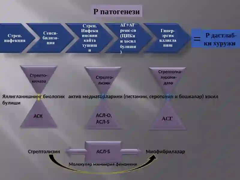 Ревматизм (ревматик иситма) 4