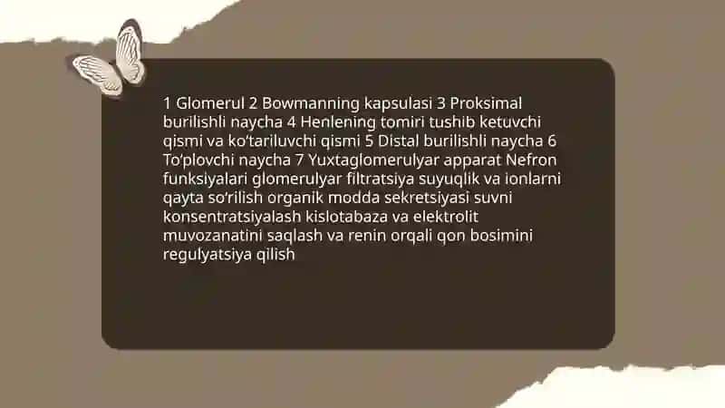 Burak va sidik ajratish azolarining gistologik tuzilishi va funksiyalari 4