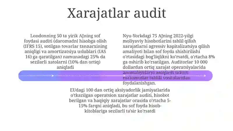 Faoliyatchsiz Daromadlar Auditi 4