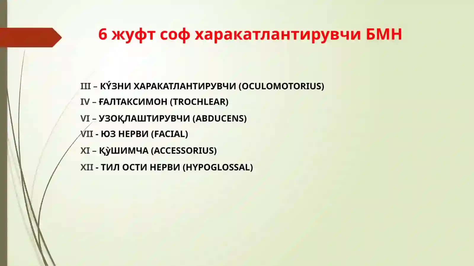 Бош мия жуфт нервлари клиник анатомияси ва зарарланиш синдромлари 4