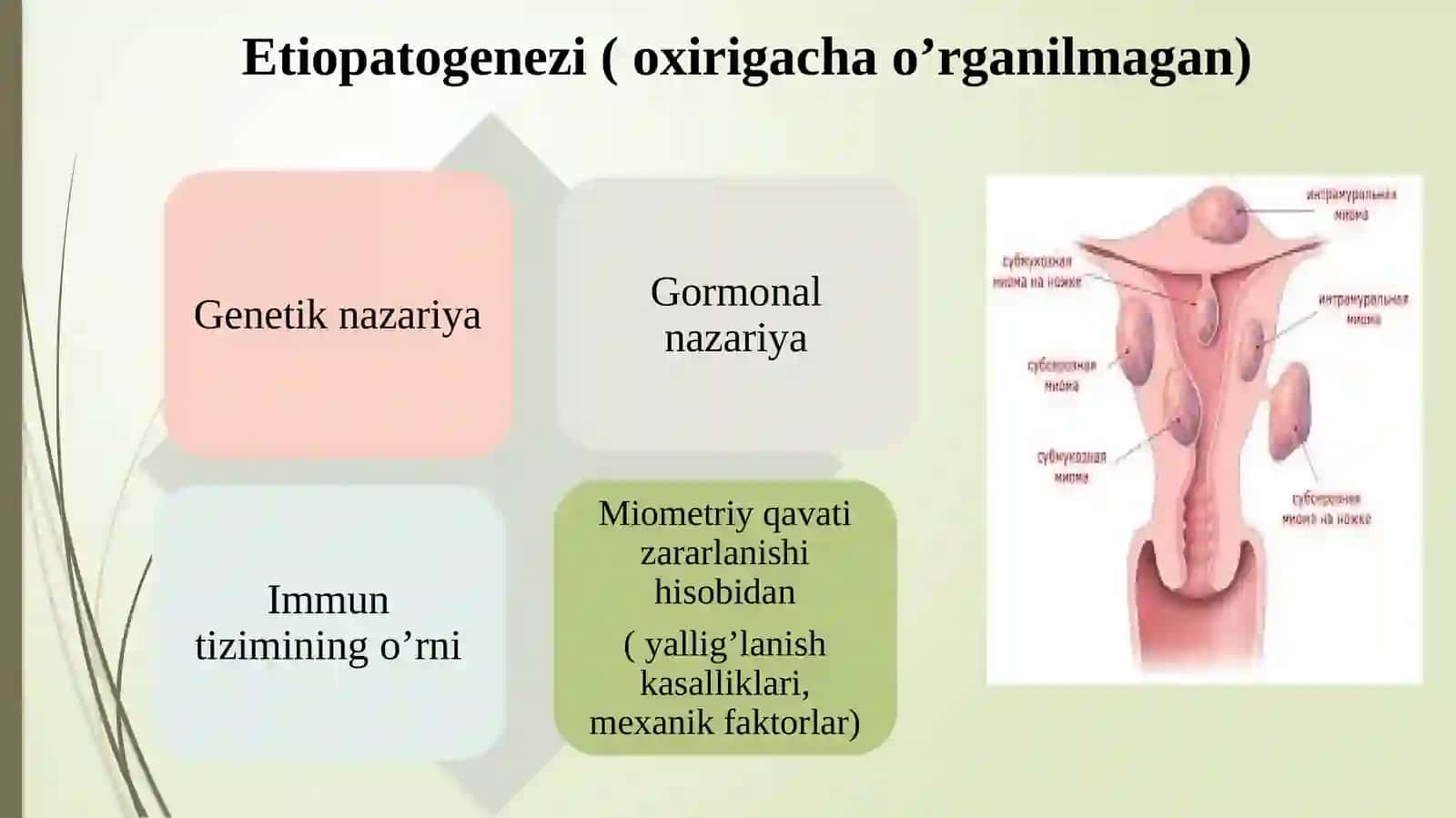 Bachadonmiomasi.Endometrioz 4
