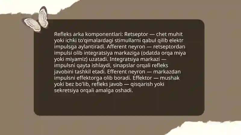Inson reflektor tizmi 4