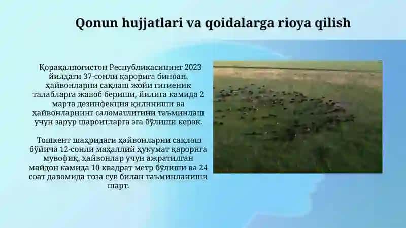 Yer maydonchalarida hayvonlarni saqlash uchun shart sharoitlar 4