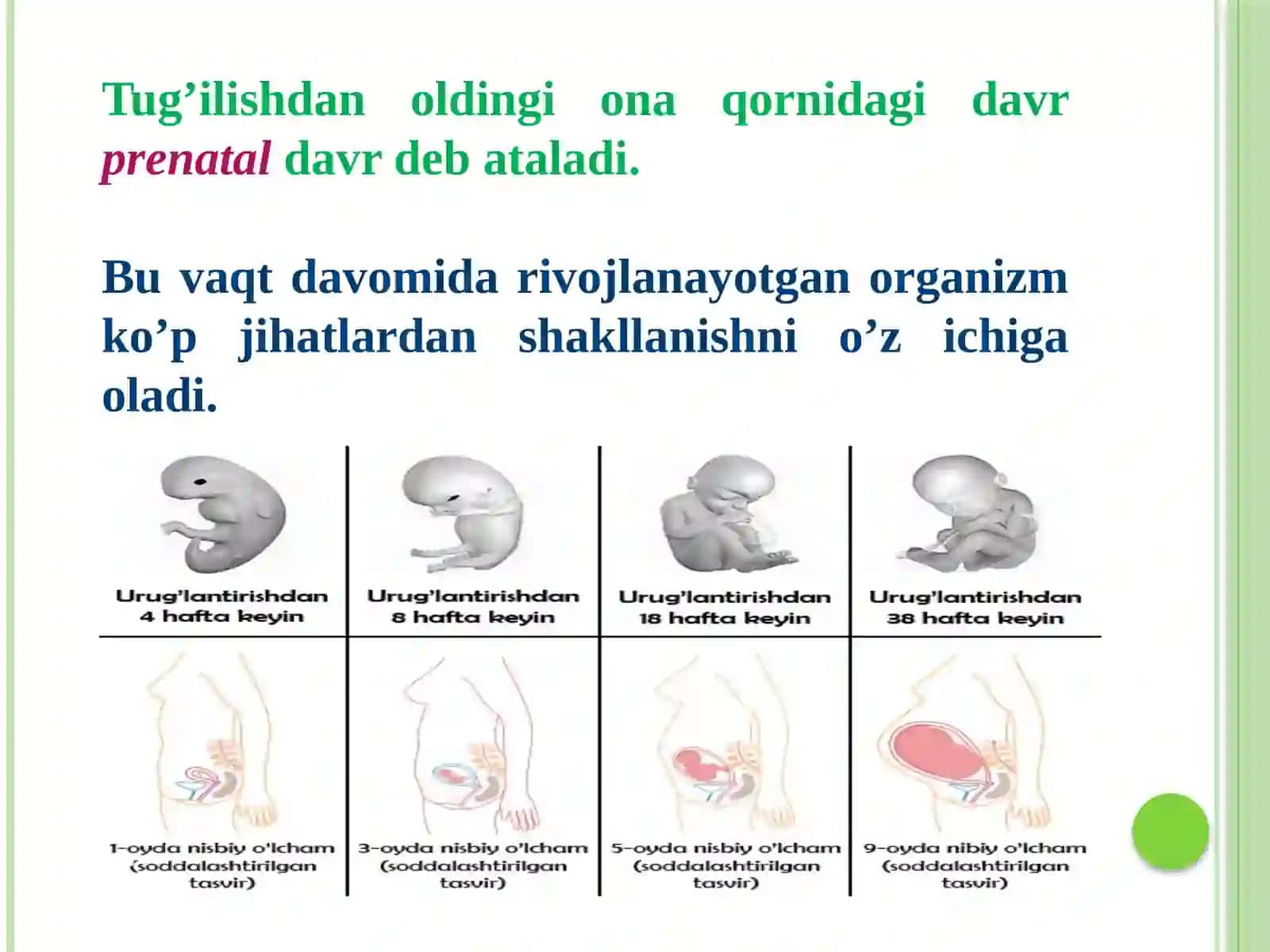 Tirilishkompleksi 4