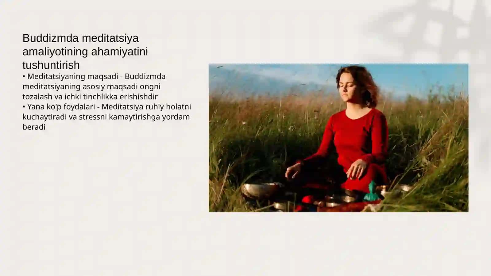 Buddaviylik 4