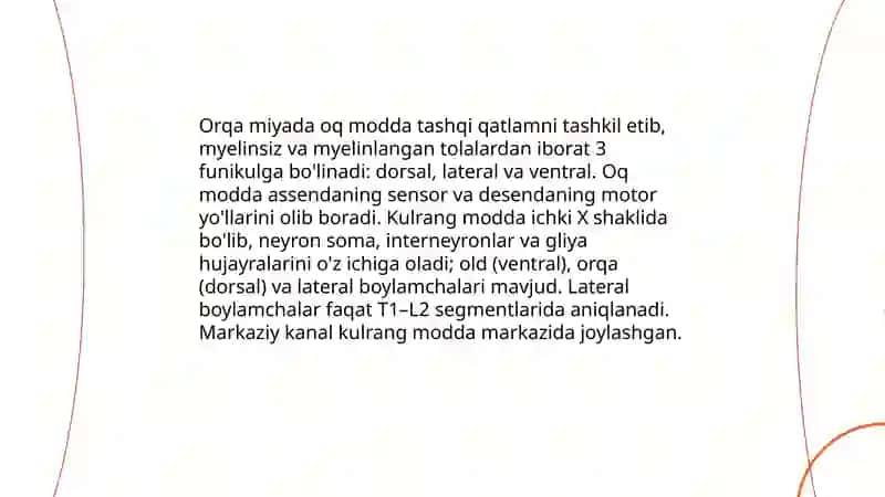 Orqa miya va miyacha 4