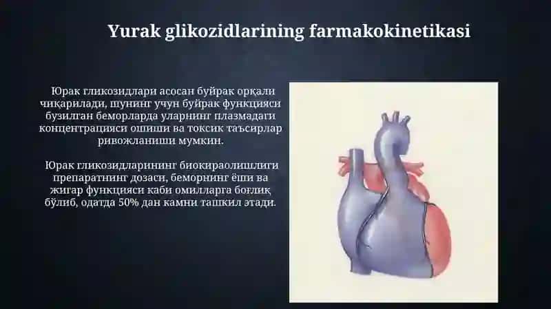 Yurak glikozidlarining kimyoviy tuzilishi va ahamiyati 4